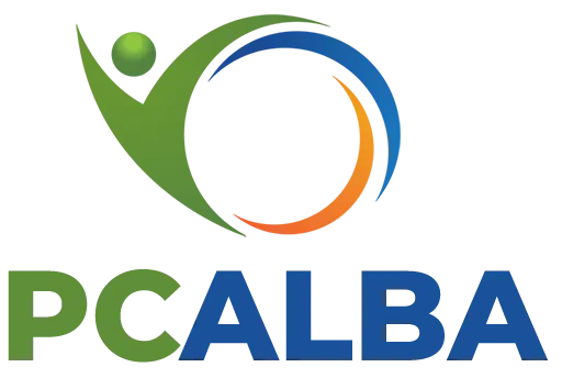 PcAlba - Reparații calculatoare Alba